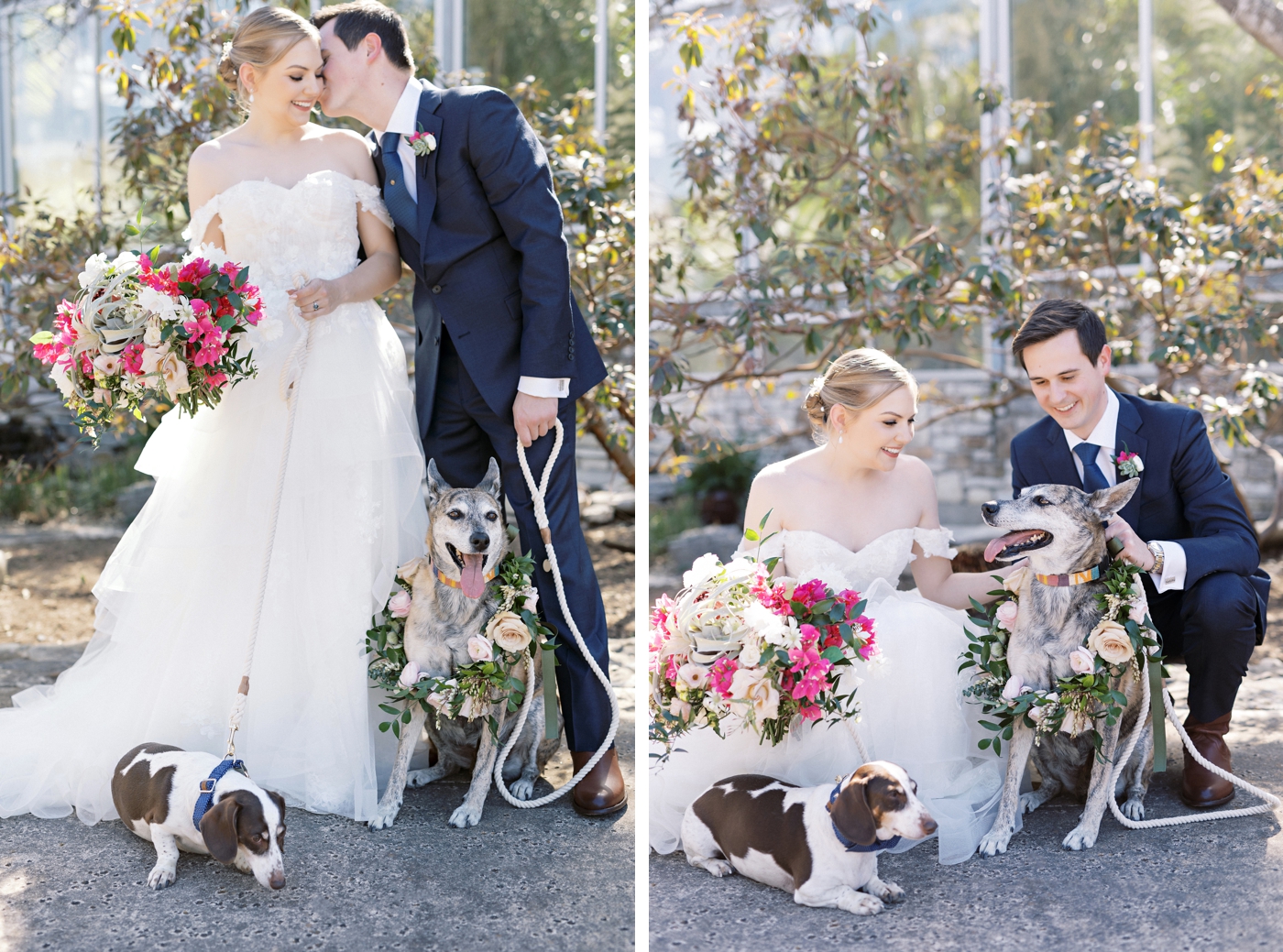 10 Ways To Include Your Dog On Your Wedding Day