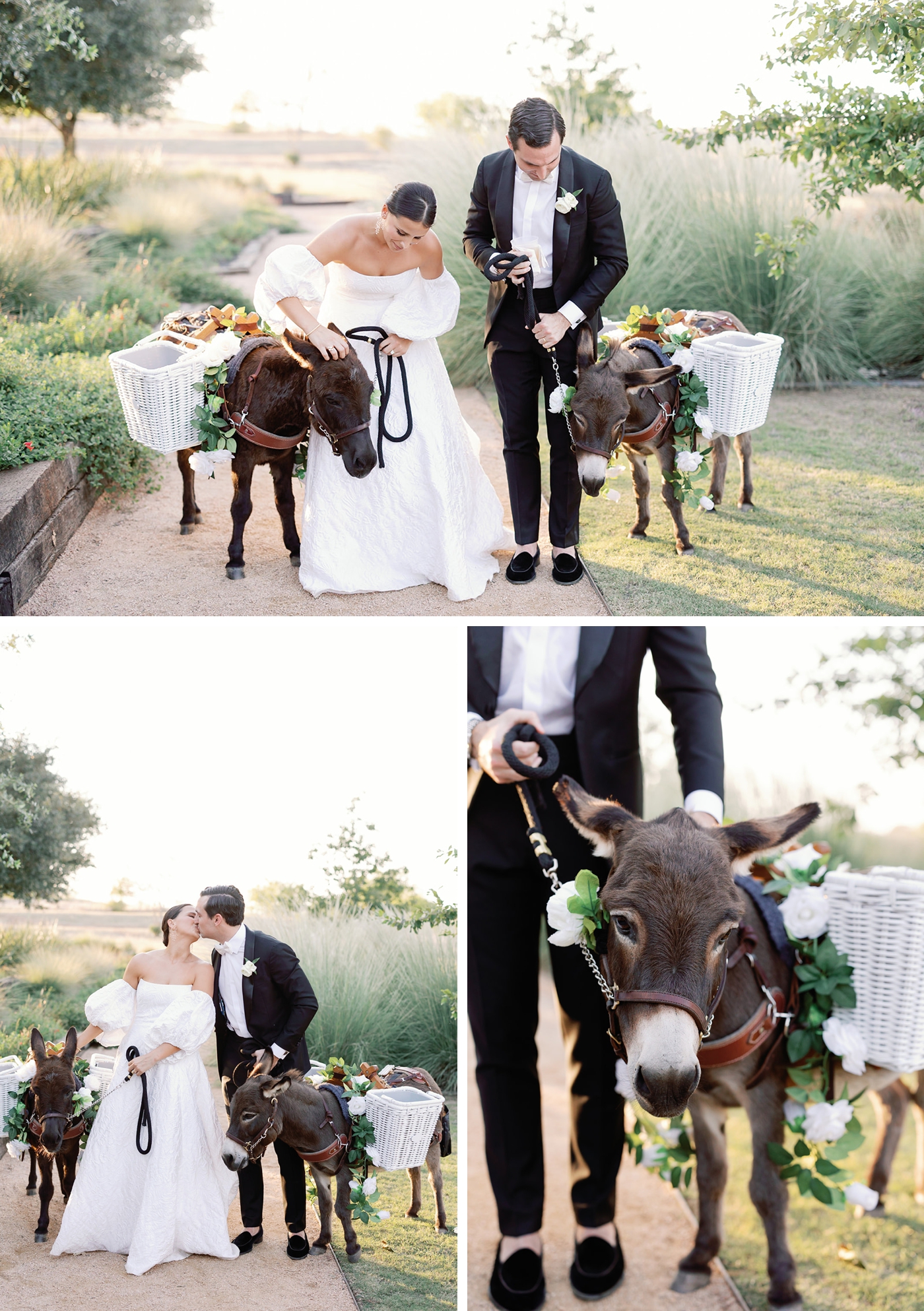 Beer Burros at a wedding in Austin, Texas