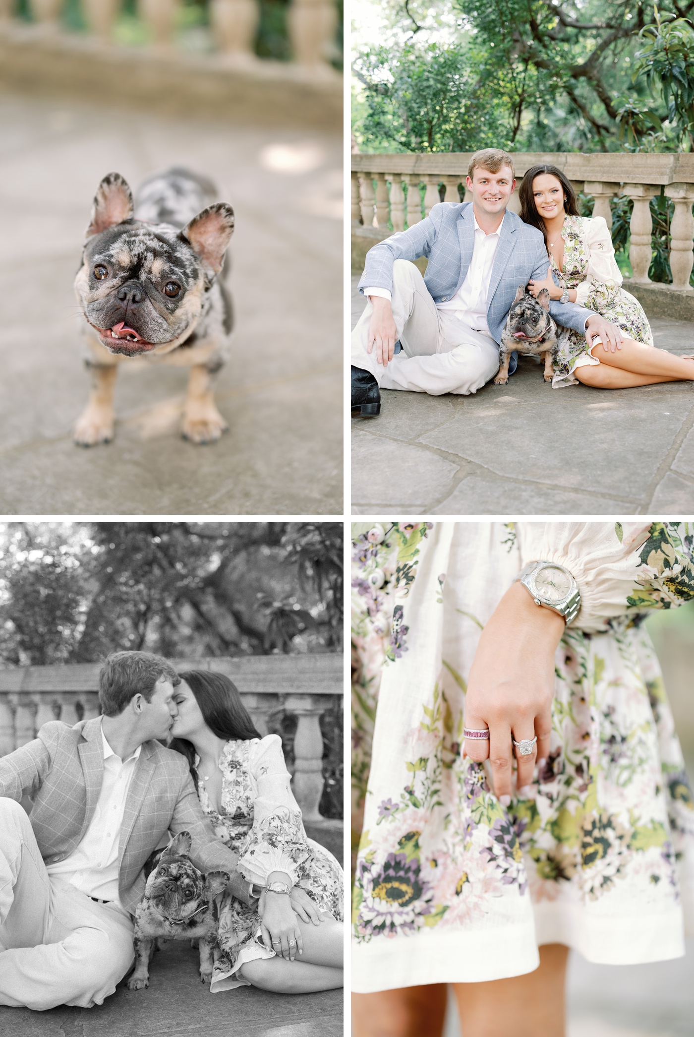 French bulldog Winnie posing with couple during engagement session at Laguna Gloria.