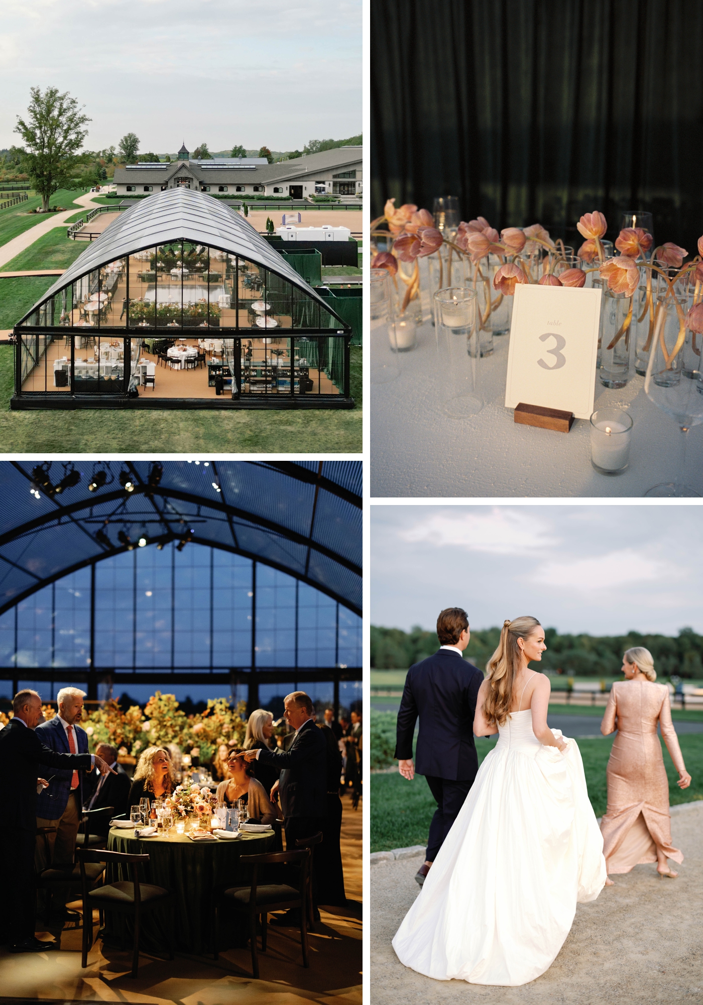 A bids eye view of a Conservatory Structure Tent, on a private property in Upstate New York